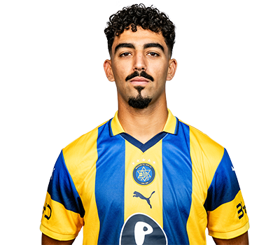 روي  ريفيفو