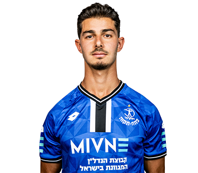 נועם גיסין