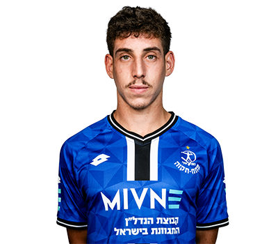 רועי דוד